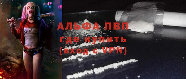 ПСИЛОЦИБИНОВЫЕ ГРИБЫ Яровое