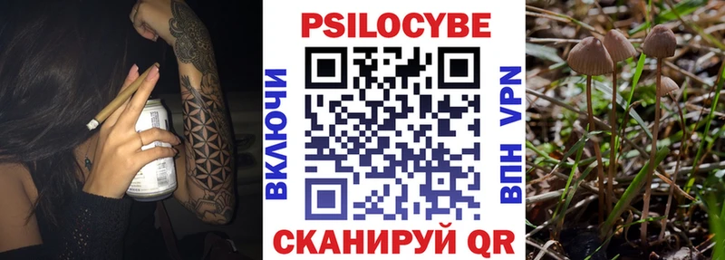 Галлюциногенные грибы Psilocybine cubensis  Энгельс 