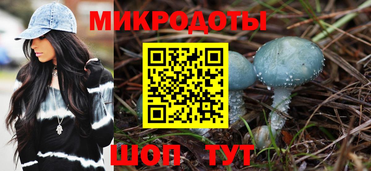 Энгельс  Псилоцибиновые грибы Psilocybine cubensis  Вход с VPN  Галлюциногенные грибы мухоморы 